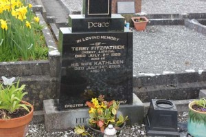 Fitzpatrick Terry Creevy, Lisacul
